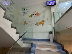 -瑞派申生动物医院·24H夜诊·国际动物医疗中心·骨外科(吴中路店)