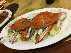 正蟹-渔傅·蓝海岸霞浦海鲜(正祥店)