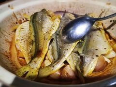 -金枝玉叶上海人家食府(三里河店)