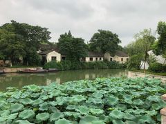 -绍兴大禹开元观堂-若耶厅