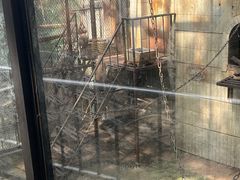 -昆明动物园