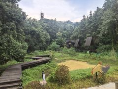 -酒仙湖景区