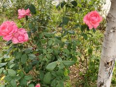 -湘西小馆(滨河路店)