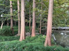 -杭州植物园
