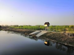 -东郊湿地公园