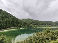 -武陵山森林公园