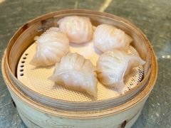-金悦轩海鲜城(渔人码头店)