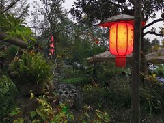 -青城甲(青城山店)