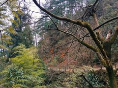 -东天目山风景区