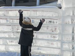 -沈阳奥体冰雪嘉年华