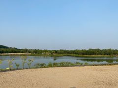 -东郊湿地公园