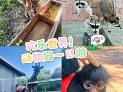 -水上乐园·欢乐世界