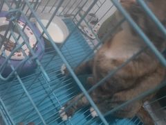 -华润万家便利超市(无锡大箕山店)