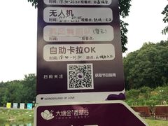 -大塘金香草谷