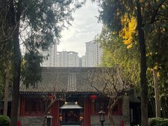 -罔极寺