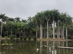 -中国科学院西双版纳热带植物园