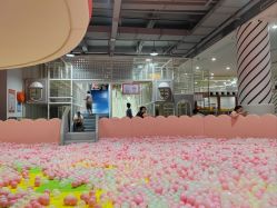 -宝燕乐园(春申店)