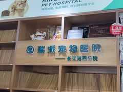 -瑞派长江宠物医院·猫科·外科·24小时夜护(谊城公寓分院)