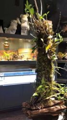 -周忆刺青原创设计定制