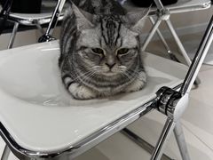 -怪兽屋·羊驼·猫咖·狗咖(俊华广场店)