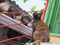 -EATALIA意塔利意式餐厅(鼓楼店)