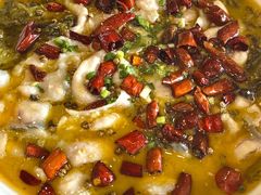 -小四川菜馆(托乐嘉店)