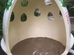 -100蛋泥浆浴