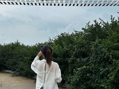 -大芦花风景区