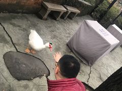 -得丘礼享谷·玉兰苑