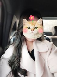 -FINE HAIR 烫染专业设计