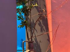 -蝴蝶汇音乐酒馆(罗湖店)