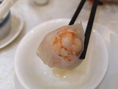 有腥气虾饺皇-有腥气私房菜·寻味顺德