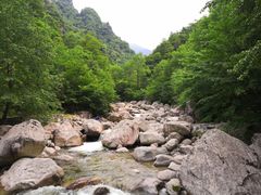 -青峰峡国家森林公园