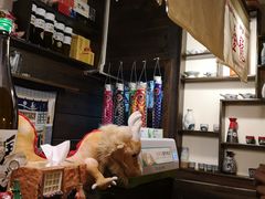 -金龙咖喱