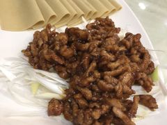 -大鸭梨烤鸭店(金顶街店)