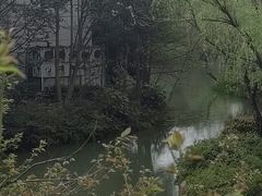 -青枫公园