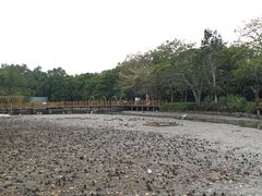 -大湾区中央湿地公园