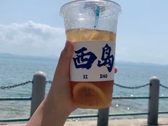 -三亚西岛海洋文化旅游区