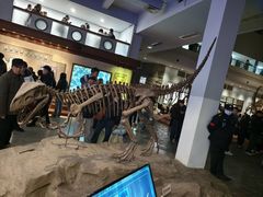 -自贡恐龙博物馆