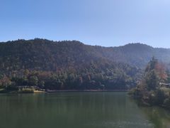 -桃花岭景区