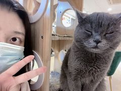 -平行世界·猫咖(首经贸店)