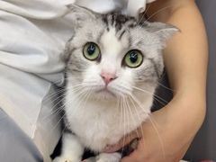 -瑞派伍一宠物医院·眼科·骨科·猫科转诊中心(马王堆院)