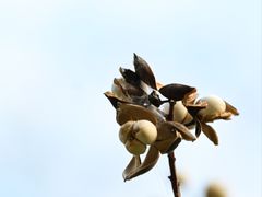 -狼山风景名胜区