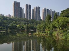 -重庆彩云湖湿地公园