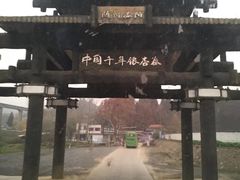 -千年银杏谷文化旅游区