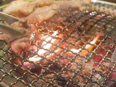 -樱嘢·炭火烧肉(惠南店)