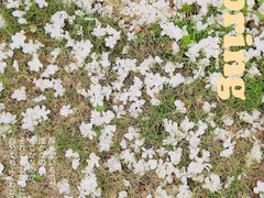 -大龙山(地铁站)