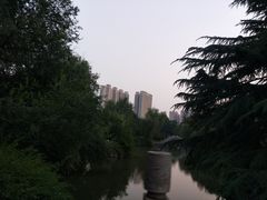 -西苑公园