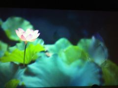 -胖哥俩肉蟹煲(福州仓山爱琴海店)