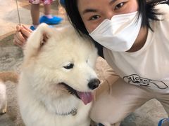 -more than meow吴止猫主题餐厅(承德 中船汇店)